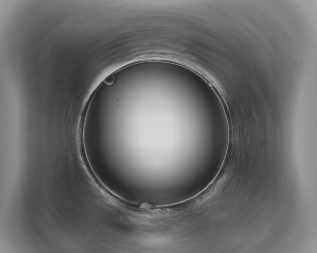 X0000111621533200907171234