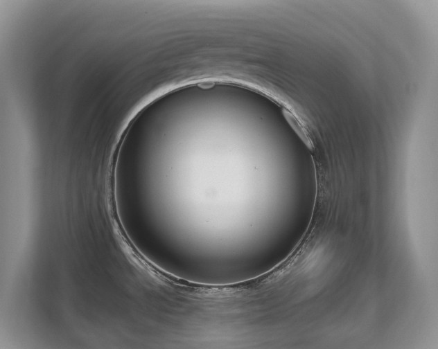 X0000111621534200907171234