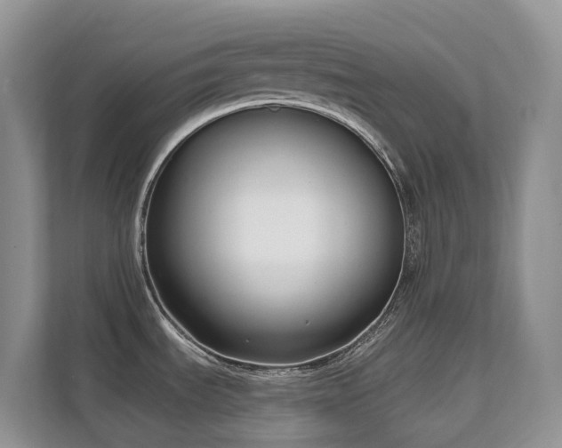 X0000111621535200907171234