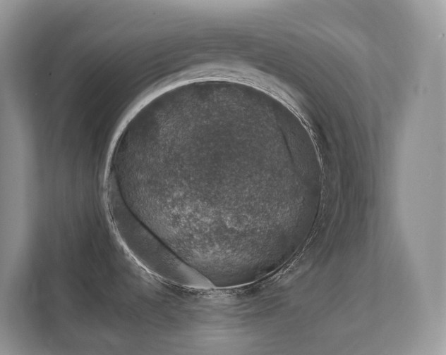 X0000111621536200907171234