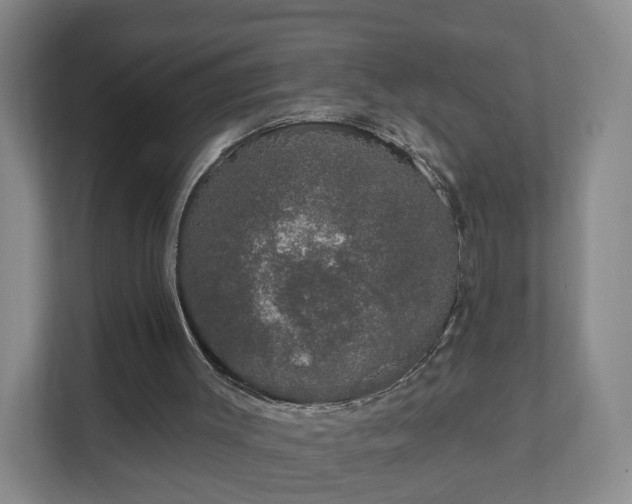 X0000111620003200907241039