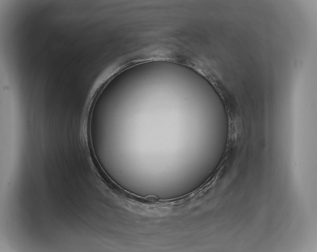 X0000111620004200907241039