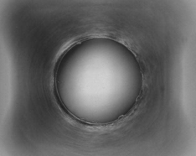 X0000111620005200907241039