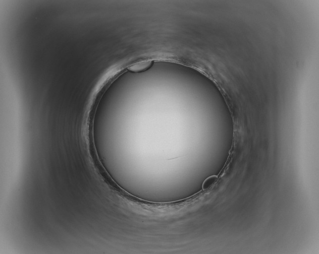 X0000111620006200907241039