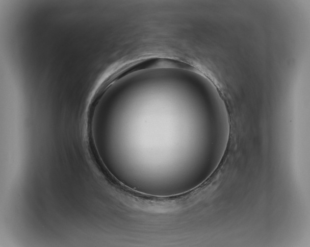 X0000111620008200907241039
