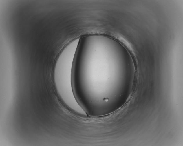 X0000111620009200907241039