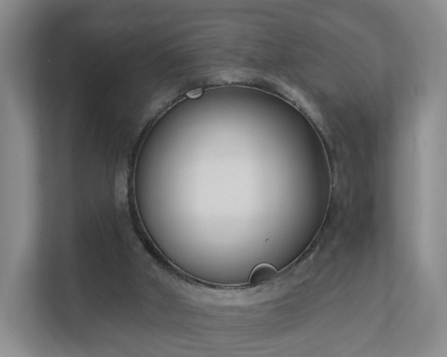 X0000111620010200907241039