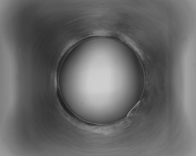 X0000111620011200907241039