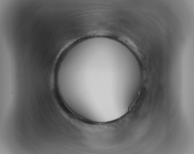 X0000111620012200907241039