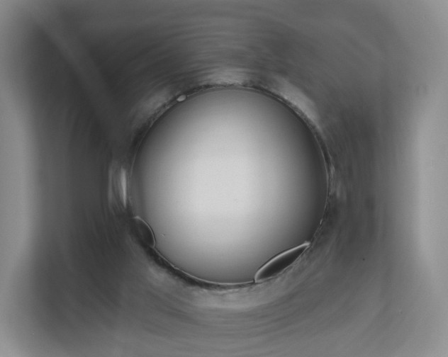 X0000111620013200907241039