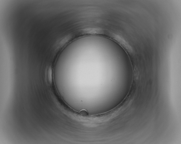 X0000111620014200907241039