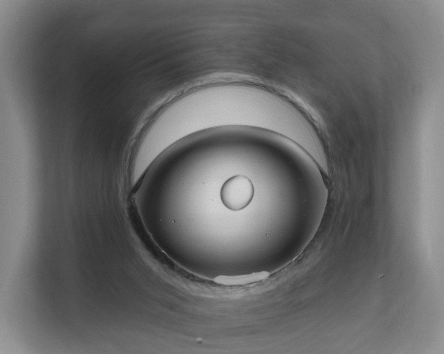 X0000111620015200907241039