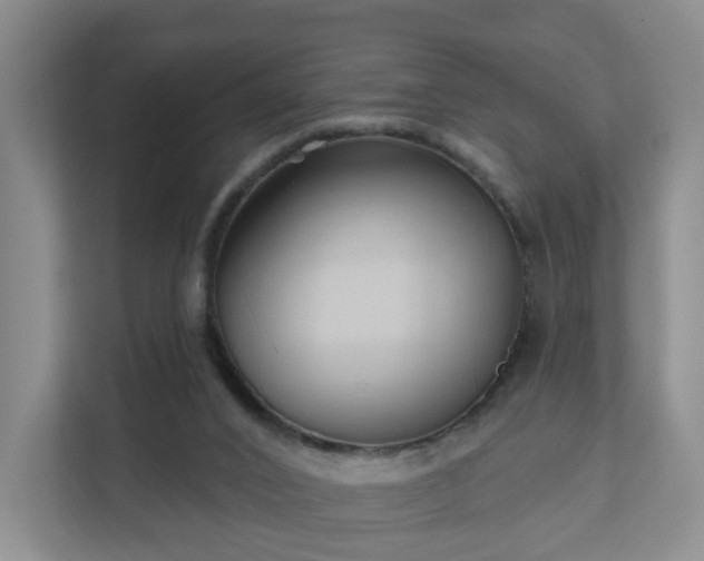 X0000111620016200907241039