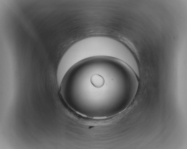 X0000111620017200907241039
