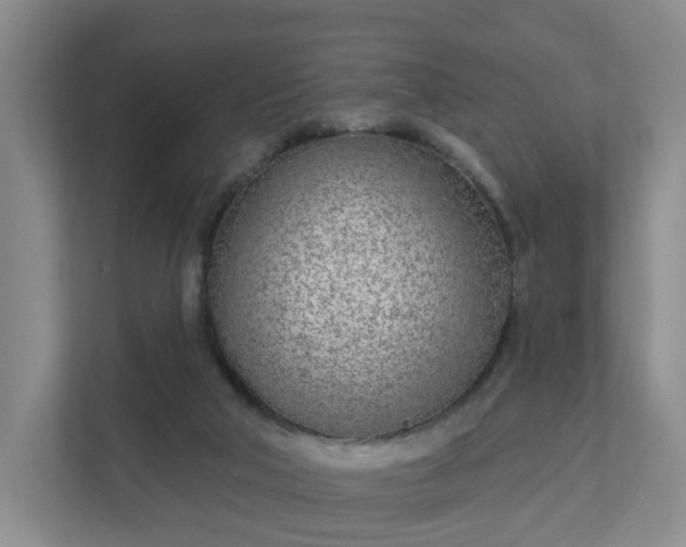 X0000111620018200907241039
