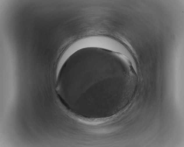 X0000111620019200907241039