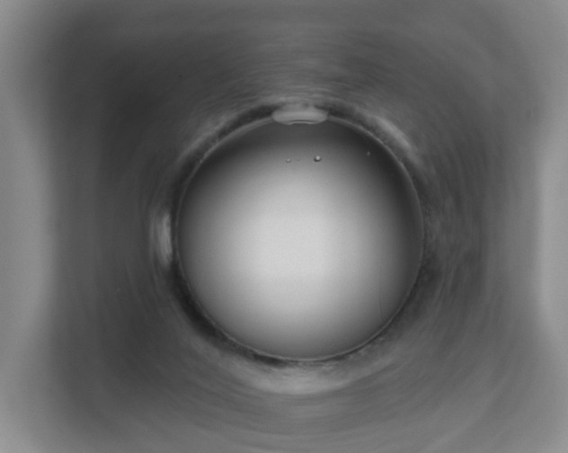 X0000111620020200907241039