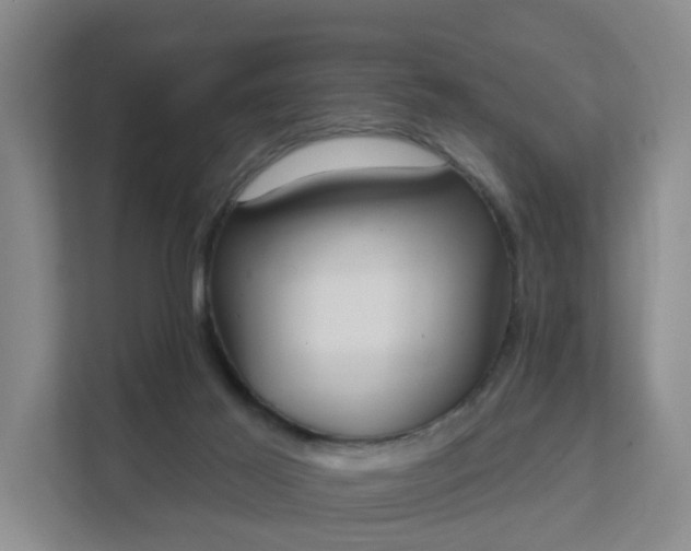 X0000111620021200907241039