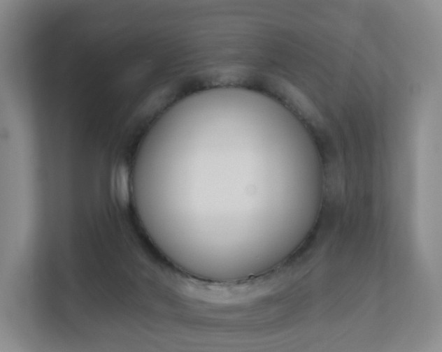 X0000111620022200907241039