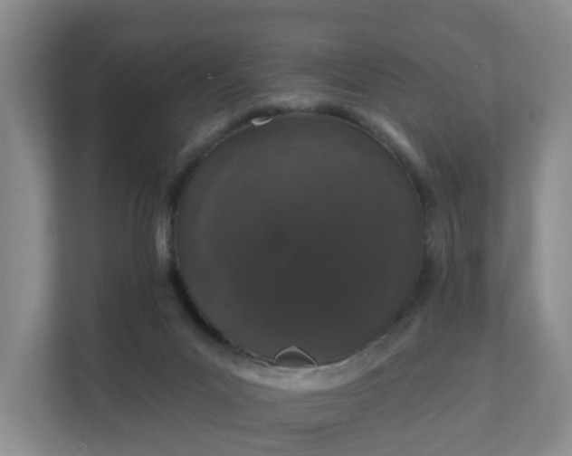 X0000111620023200907241039