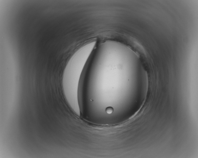 X0000111620029200907241039