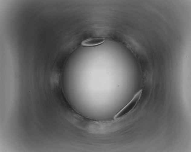 X0000111620033200907241039