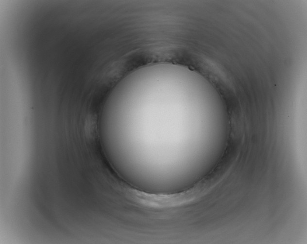 X0000111620034200907241039