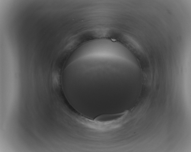X0000111620035200907241039