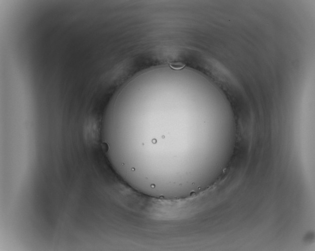 X0000111620037200907241039