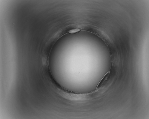 X0000111620044200907241039