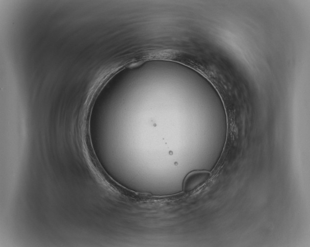 X0000111620049200907241038