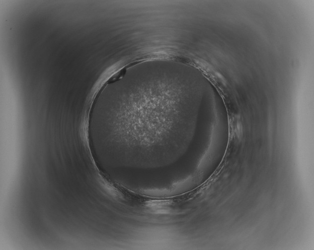 X0000111620051200907241038