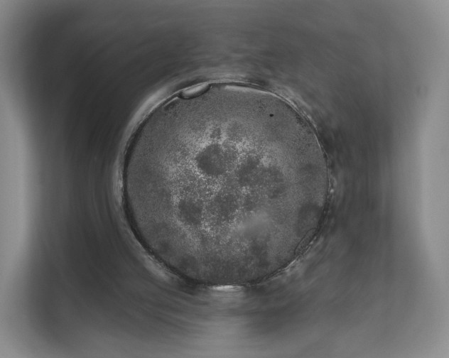 X0000111620053200907241038