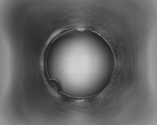 X0000111620054200907241038