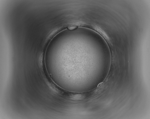 X0000111620058200907241038