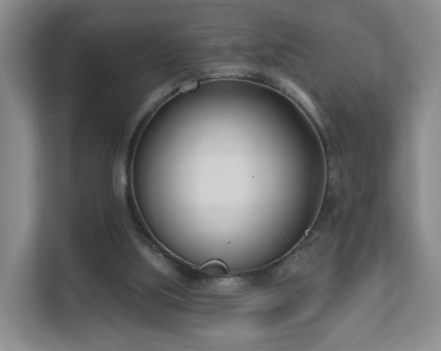 X0000111620059200907241038