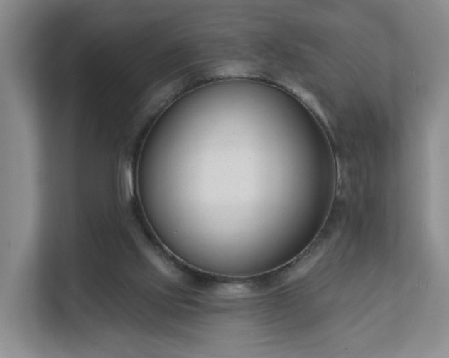 X0000111620061200907241038