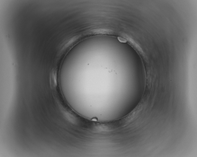 X0000111620062200907241038