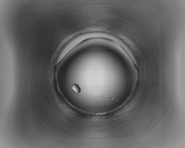 X0000111620064200907241038
