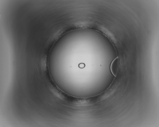 X0000111620065200907241038