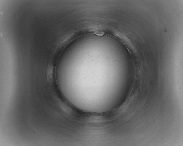 X0000111620066200907241038