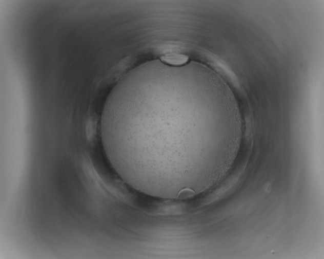 X0000111620073200907241038