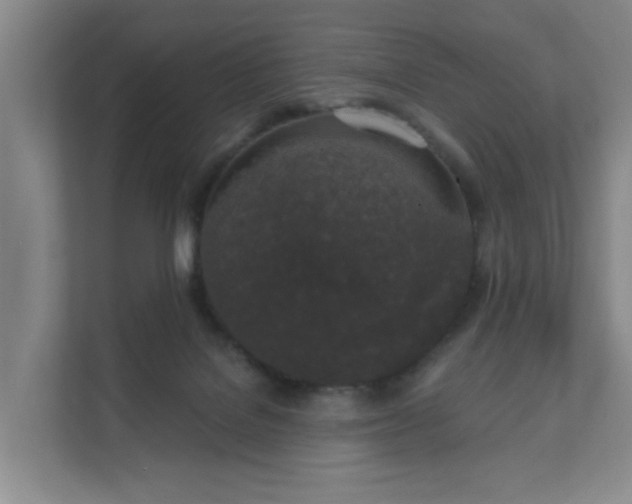X0000111620076200907241038