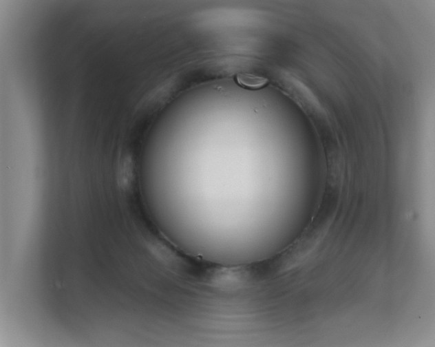 X0000111620077200907241038
