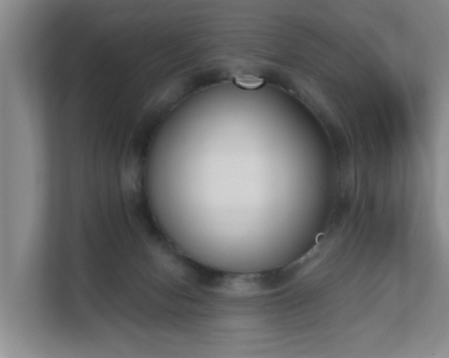 X0000111620078200907241038
