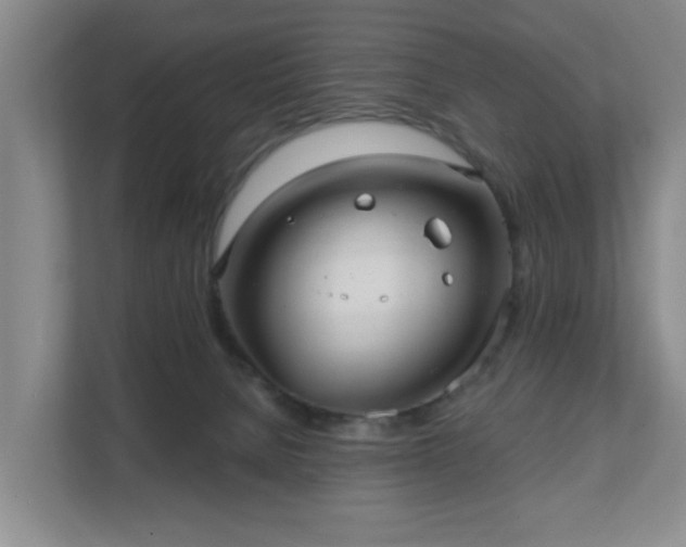 X0000111620080200907241038
