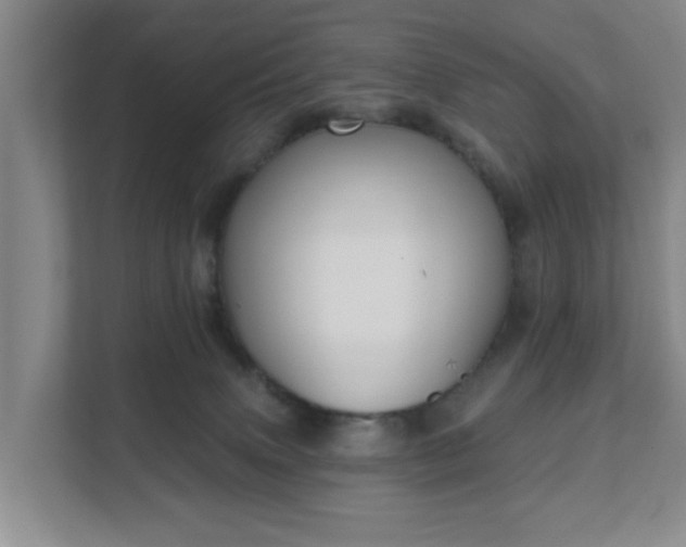 X0000111620083200907241038