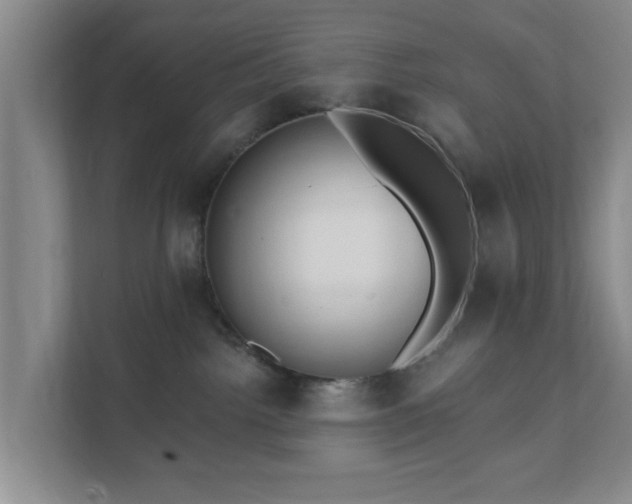 X0000111620092200907241039