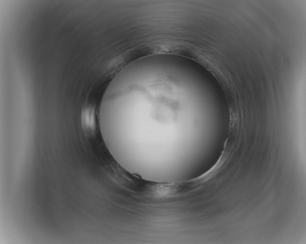 X0000111620094200907241039