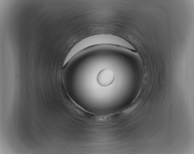 X0000111620096200907241039